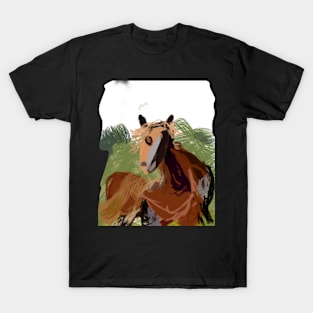 Horse shirts 1 T-Shirt